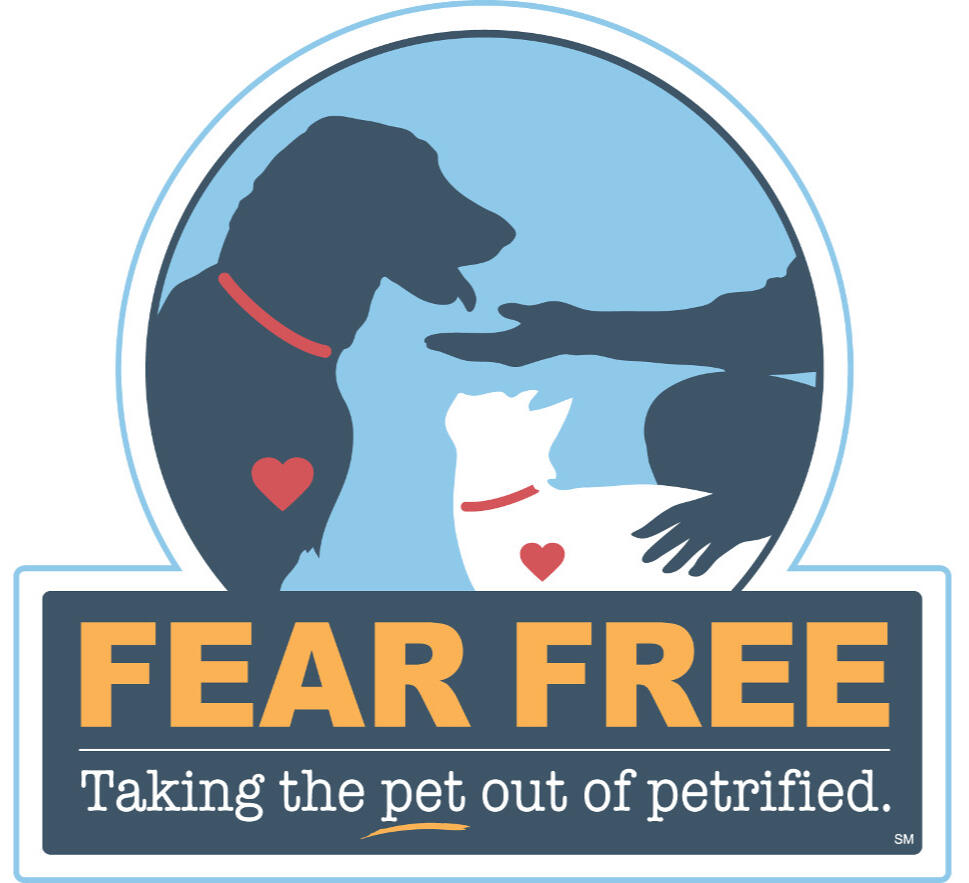 Fear-Free